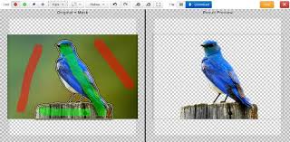 Find quick results from multiple sources. Remove Image Background Using Clipping Magic Online Tool Zdwired