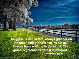 The Grass Is Always Greener On The Other Side Of The Fence Story Ex Grass Is Greener On The Other Side Syndrome Breakup Grass Love Quotes Funny