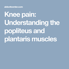 Pin On Popliteus
