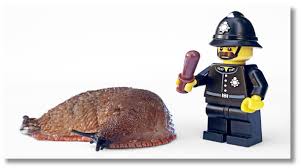 Fully insured with reports within 24 hours. Building Services Pest Inspection Penrith And Blacktown