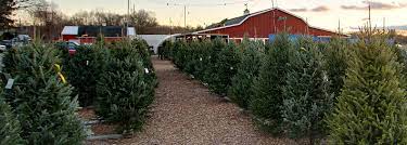 We did not find results for: Christmas Trees Decor Christmas Tree Shop Nj Farms View Farm