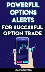 Option Strategies Insider Review 2021 Powerful Options Alerts In 2021 Option Strategies Option Trading Option Trader