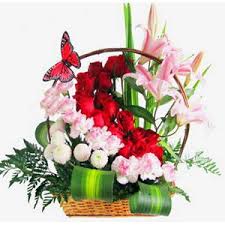 Need to send flowers to mexico from the other part of the world? Send Flowers To Mexico Same Day Flower Delivery