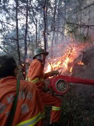 東京消防庁火災予防コールセンターへ ☎ ０３−３２５３−０１１９ 受付 月曜日から金曜日まで 午前９時から午後５時まで （祝日、年末年始. æ–°äº¬æŠ¥ å¥½æ–°é—» æ— æ­¢å¢ƒ