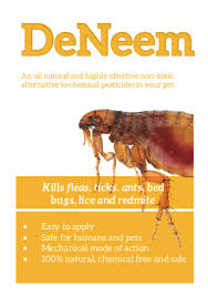 natural flea treatment for dogs no