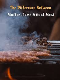 Difference Between Mutton Lamb Goat Meat Goat Meat Goat Recipes Healthy Meat Recipes
