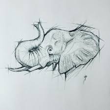 Elephant drawing for kids elephants for kids elephant doodle elephant outline elephant sketch cartoon elephant elephant art draw an elephant african elephant. Elephant Sketch Drawing