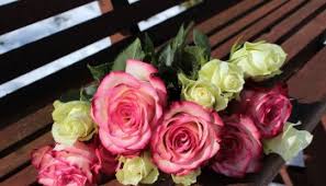 You will choose your arrival date when you check out. Pre Order Costco 50 Count Valentine S Day Roses For 49 99 With Free Shipping Points With A Crew