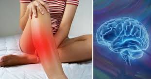 Cual Es El Significado Emocional Del Dolor De Piernas Y Pies Bioguia