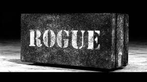 It's crazy how light it is and yet its strength isn't compromised. Rogue Fitness Coupon Code Garage Gym Ideas