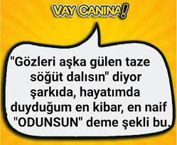 Zuzu Mahra Adli Kullanicinin Gulumse Panosundaki Pin Komik Seyler Komik Mizah
