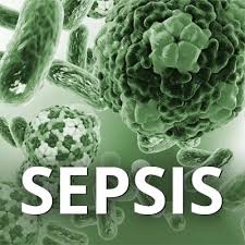 Sepsis is a syndromic response to infection and is frequently a final common pathway to death from many infectious diseases worldwide. Sepsis Ein Sehr Ernstzunehmendes Krankheitsbild