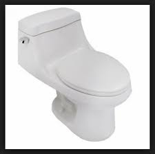 Maybe you would like to learn more about one of these? Understanding Aquasource Toilet One Piece Toilets Toilet Before The Storm