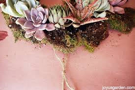 Sphagnum farming refers to the cultivation of sphagnum mosses to produce sphagnum biomass sustainably. 5 Easy Steps To Making A Living Succulent Wreath