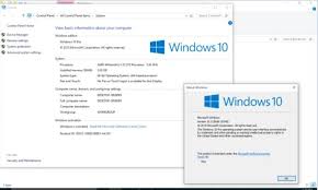 Windows 10 Pro Activator Free Download For 64 Bit For Pc Screenshots Of Activated Windows 10 Professional Windows 10 Using Windows 10 Windows