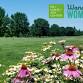 Topographies over Time: A Hike Series with Wander Women Midwest