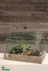 House Terrarium With Base Canadian Tire