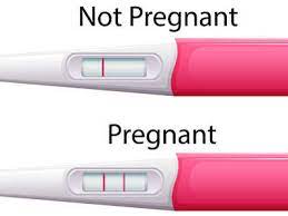 We did not find results for: Prega News Kaise Use Kare à¤ª à¤° à¤— à¤¨ à¤¯ à¤œ à¤• à¤¸ à¤¯ à¤œ à¤•à¤° Prega News Pregnancy Test Kit
