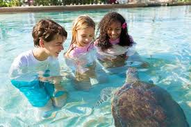 The vampire diaries star enjoyed a friendsgiving trip to a tropical location, where she donned this cute onia swimsuit. 30 Best Family Vacations Amazing Family Trip Destinations To Visit In 2021