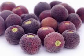 Check spelling or type a new query. First Crop Phalsa Fruit Tree Seeds Grewia Asiatica Seed Price In India Buy First Crop Phalsa Fruit Tree Seeds Grewia Asiatica Seed Online At Flipkart Com
