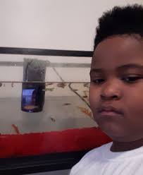 Terrence Dyer (@dyer_terrence)