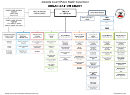 27 Unfolded Home Health Organizational Chart