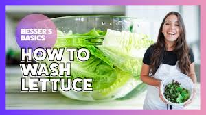 The smell of vinegar will wash out and your. How To Wash Lettuce Besser S Basics Elena Besser 2020 Youtube