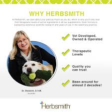 It appears to have a protective effect on the liver and is currently used to treat alcoholic hepatitis, liver cirrhosis, liver poisoning, and viral hepatitis; Glimmer Skin Coat Support For Dog Skin Care Herbsmith