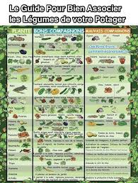 Le Guide Pratique Pour Bien Associer Les Legumes De Votre Potager Potager Permaculture Potager Jardinage Potager