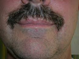 Maybe you would like to learn more about one of these? Bapak Yang Berkumis Bapak Kumis Home Facebook Orangnya Ganteng Dan Berkumis Tebal Tenversusthirteen