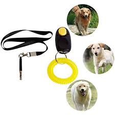 Pin On Dog Training Aids