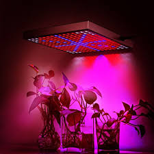 Here are some of the best grow lights to use as a primary light source for plants. Garden House 45w Led Plant Growing Light Fixtures Grow Light Panel Light Weight Red Blue Orange White Grow Strong Reflection Light Fixture Higher Efficiency Hydroponic Garden Greenhouse Indoor Plants Buy Online In Bahamas