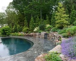 Pin By Michie Rivera On Pool Backyard Garden Backyard Pool Landscaping
