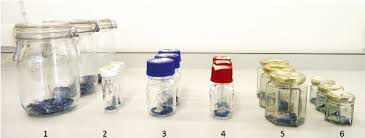 Growing a garden on a regular basis provides healthy food, substantial savings, and valuable practice for emergency preparedness and long term survival. Glass Seed Storage Containers With Different Closures That Were Tested Download Scientific Diagram