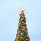 Chinchilla Community Christmas Celebration event image