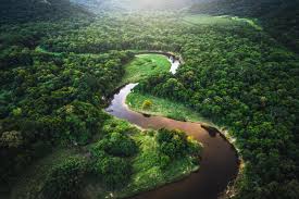 A river is a natural waterway that conveys water derived from precipitation from higher ground to lower levels. What Is The Longest River In The World