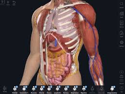 ** complete anatomy has a wider depth and breadth of offerings than other anatomy platforms currently available (e.g. Why Upgrade Complete Anatomy