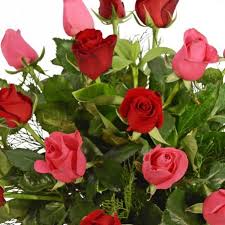 Erhalten sie die relevantesten ergebnisse auf searchandshopping.org. Send Flowers Online Same Day Delivery Australia Today