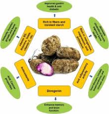 Image result for Dioscorea hirtiflora