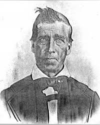 Cover Photos From SFN Vol 1 to 8