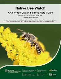 Check spelling or type a new query. Pdf Native Bee Watch A Colorado Citizen Science Field Guide