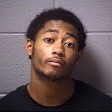 Will County Weekend Lockups October 13-14