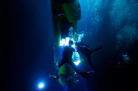 Image result for Deep Sea 2012 HS