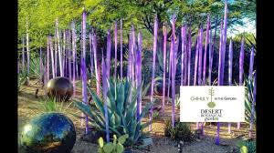 Visitors can stroll through five thematic trails to explore the fascinating beauty of sonoran desert plant life, from towering cacti and alluring. Chihuly Exhibit At Desert Botanical Garden Youtube