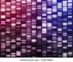 · search for an image on shutterstock and copy the link to the image you . Download Free Background And Texture Images