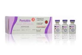 Cara ngelamar kerja kimia parma banjaran. Biofarma The Leading Vaccine Manufacturer In Indonesia