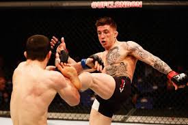 Norman parke has unfinished business to deal with when he faces mateusz gamrot in the main norman parke says ksw return will feel like 'the ultimate fighter,' targets rare finish at ksw 53. Norman Parke Ready To Silence Lightweight Champion Mateusz Gamrot At Record Breaking Ksw 39 Event Belfast Live