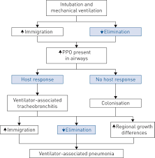Porter says these five things can weaken your immune system: Contrary To Popular Belief Ventilator Associated Lower Respiratory Tract Infections Are Less Common In Immunocompromised Patients European Respiratory Society