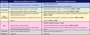 This includes a ct scan, ultrasound scan and a biopsy. The Brave New World Of Endometrial Cancer Springerlink