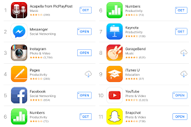 App Store Anomaly Investigating Apple Apps Behavior On The